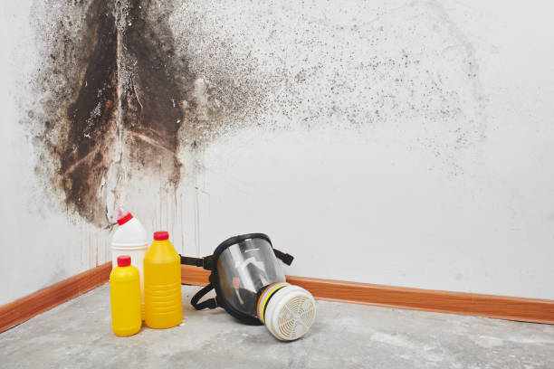 Best Professional Mold Removal  in Flordell Hills, MO