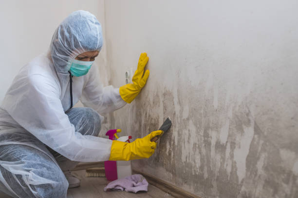 Best Residential Mold Removal  in Flordell Hills, MO