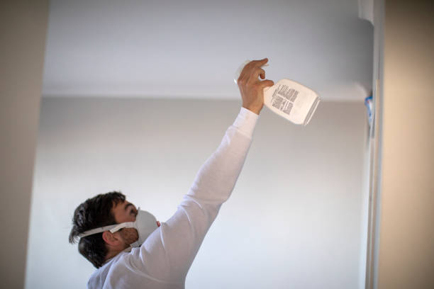 Best Mold Damage Repair  in Flordell Hills, MO