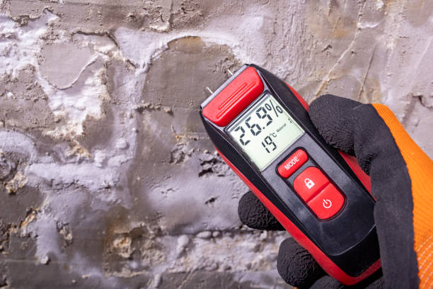 Best Mold Removal Near Me  in Flordell Hills, MO