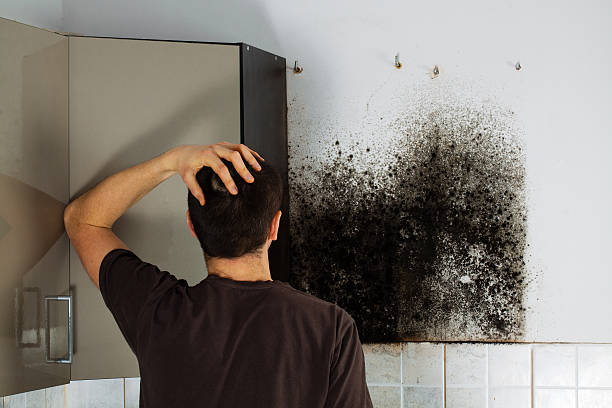 Best Mold Removal Process  in Flordell Hills, MO